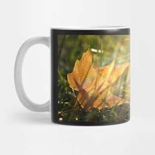 Yellow Maple Leaf in the Grass Mug